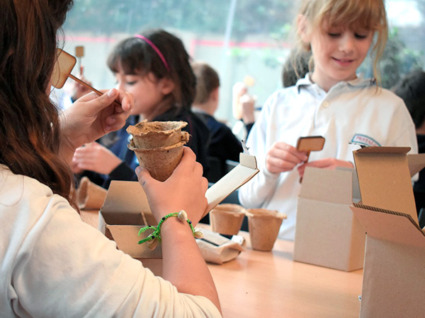 Taller de huerta urbana