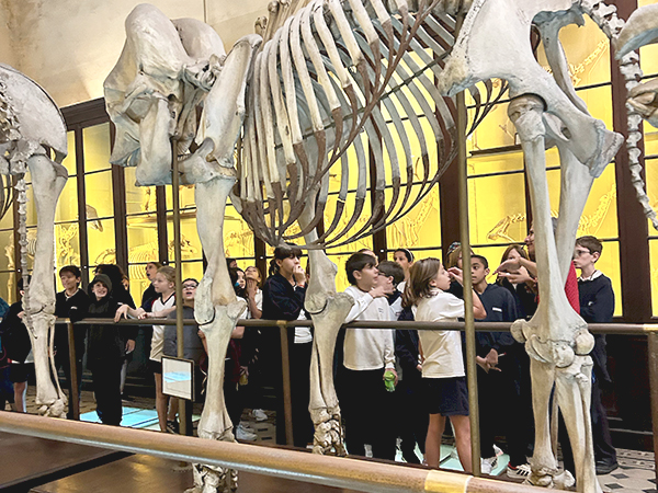 Visita al Museo de La Plata