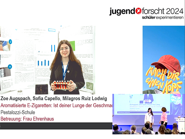 Instancia provincial del concurso 