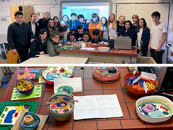 Cuarto año construye modelos celulares