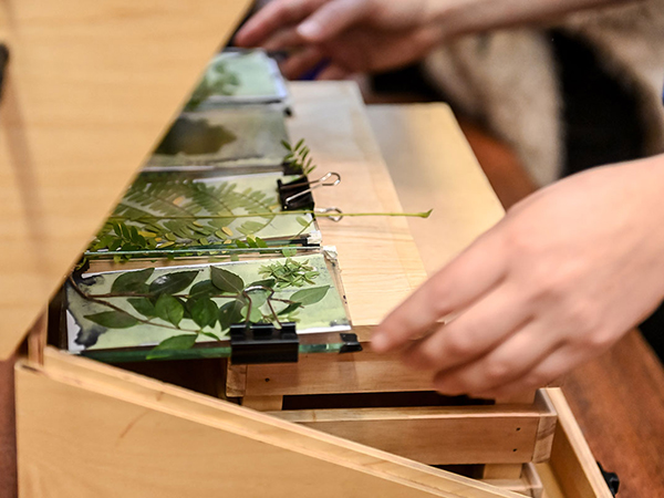 Agenda cultural: Arte y Ambiente | Clásicos Cine Francés | Música