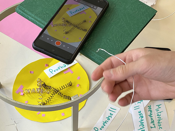 División celular en stop motion