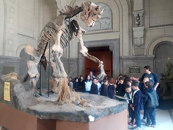 Visita al Museo Argentino de Ciencias Naturales 
